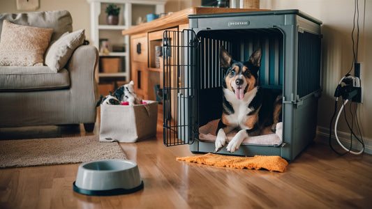 Create an image showing a living room with a sturdy, chew-proof dog crate in one corner, a spill-proof water bowl, and a bin of dog toys. Ensure all electrical cords are hidden and furniture is pet-friendly. 