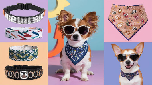 Create an image showcasing various stylish pet accessories for toy breeds, such as rhinestone collars, patterned bandanas, and miniature sunglasses. Display a small dog wearing these accessories in a trendy setting