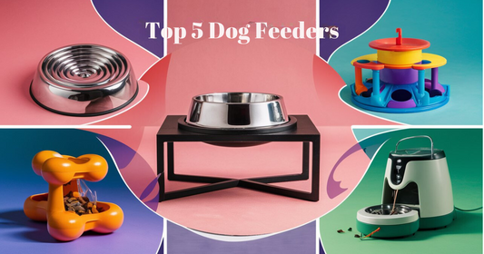 Create an image showcasing the top 5 dog feeders: an elevated bowl stand, slow feeder bowl, puzzle feeder, automatic feeder, and interactive treat dispenser. Each feeder should be visually distinct and appealing. 